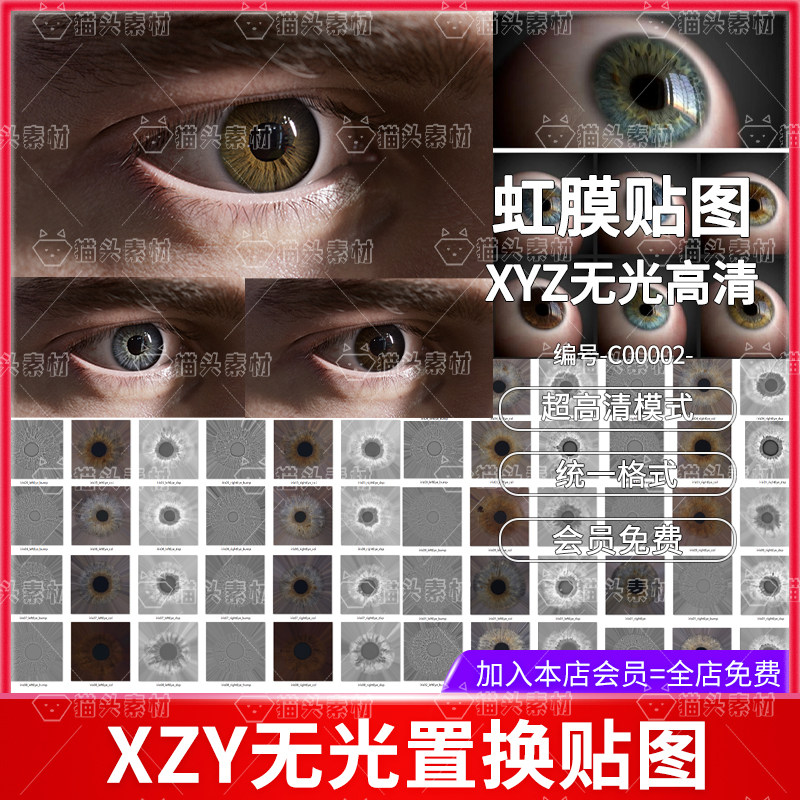xyz经典眼球虹膜颜色高度置换贴图 次世代角色眼睛xyz无光贴图