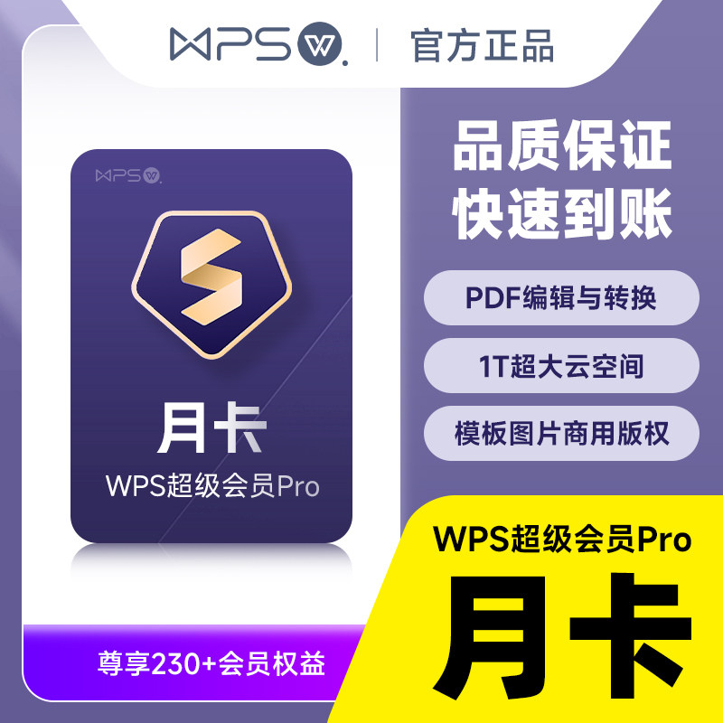 wps超级会员pro月卡  pdf转word pdf编辑 录屏 全面翻译 超级pro属于什么档次？