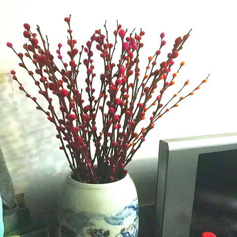 切枝花卉有哪些,50种常见的切枝植物,切枝植物有哪些_大山谷图库