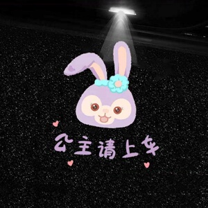 车门迎宾灯开门投影照地灯氛围灯