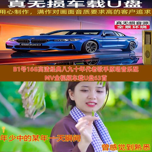 B1号16G高清经典八九十年代老歌手原唱音乐配MV全视频车载U盘63首