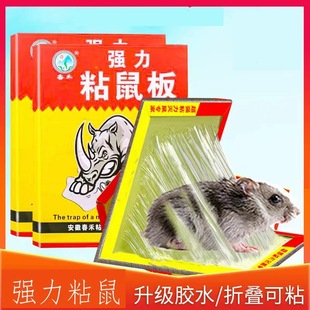 家用一窝端 老鼠粘超强力粘鼠板捉沾大号老鼠贴胶药夹捕鼠神器正品