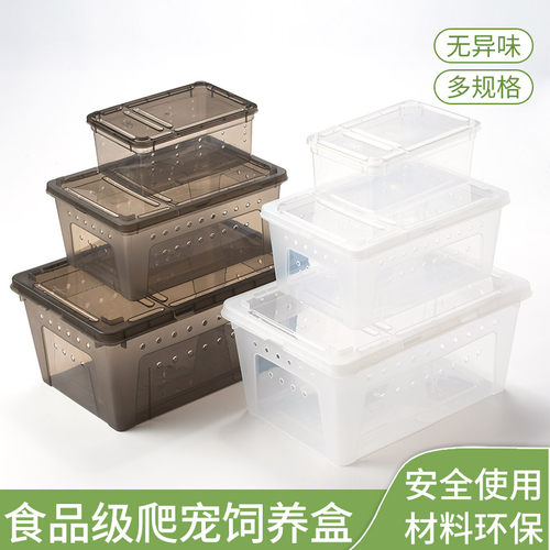 爬宠饲养盒角蛙蜘蛛蚕宝宝蜗牛