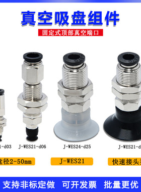 J-WES21-d2/d3/d4/d6/d8/d10/d15/d20/d25/d30/d40/d50固定式顶部