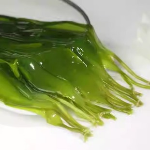 小海带苗1斤 嫩芽福建霞浦非干货三秒火锅食材