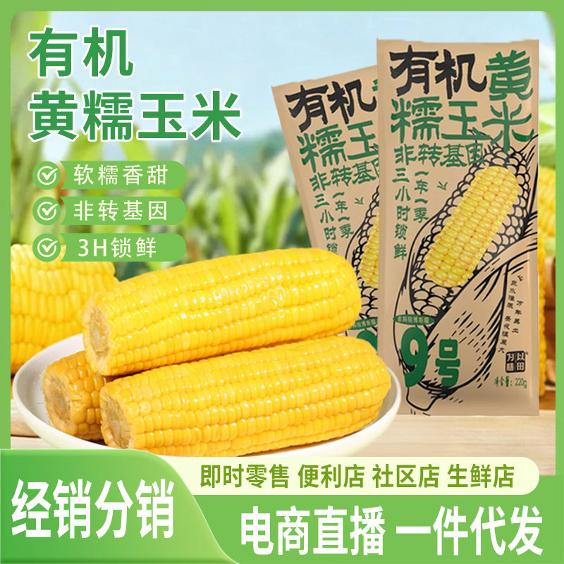 有机黄玉米东北玉米黄糯玉米水果玉米新鲜玉米真空装代餐