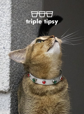 triple tipsy x PAWUP 联名 动感宝石宠物项圈 圣诞礼物猫咪狗狗