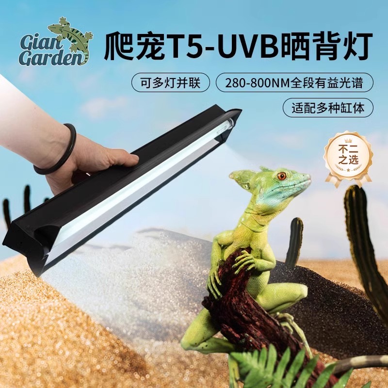 爬宠乌龟晒背灯uvb补钙全光谱爬虫T5灯管灯架鬃狮守宫蜥蜴补钙灯