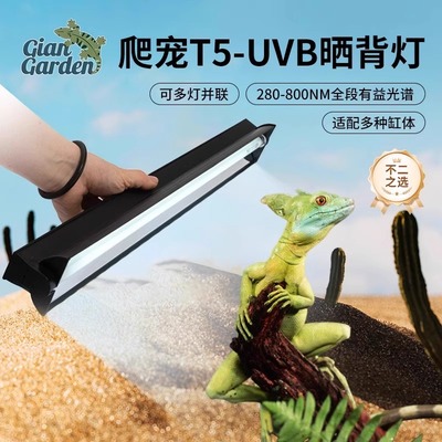 爬宠乌龟晒背灯uvb补钙全光谱爬虫T5灯管灯架鬃狮守宫蜥蜴补钙灯