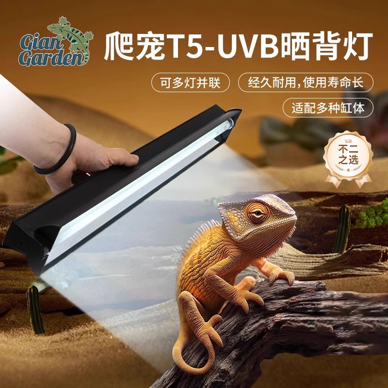 爬宠UVB补钙灯具陆龟鬃狮蜥蜴晒背T5灯管蓝舌全光谱UVB补钙反射灯
