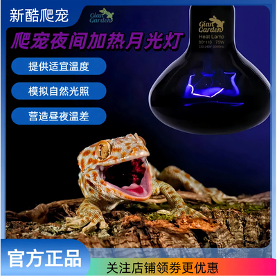 Giangarden爬宠夜灯加热灯