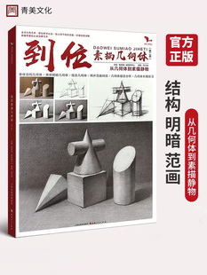 到位素描几何体第二季 我有我一套李汉清从几何形体到素描静物基