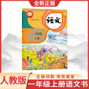 语文一年级上册教材教科书人民教育出版 小学一年级上册语文课本书一上语文书部编人教版 社一年级语文上册教材 2025新版 新华书店正版