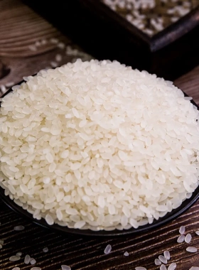 东北大米蟹田香米500克1斤真空五常团购优惠包邮