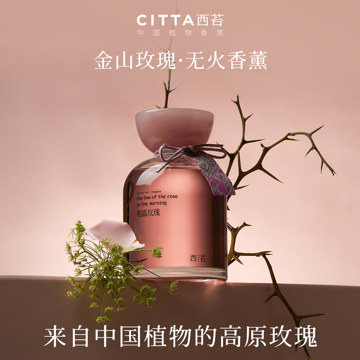 CITTA西苔金山玫瑰无火香薰礼盒花香木质调室内持久家用卧室香氛