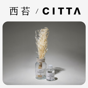 citta简约北欧花艺精油芳香摆件