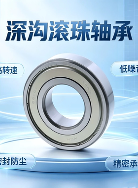 深沟滚珠轴承B6805ZZ/B6905Z/B6005ZZ/B6205ZZ/B6305ZZ/B6306ZZ