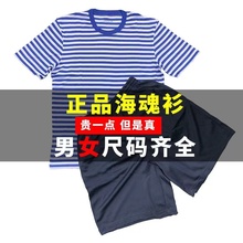 正品海魂衫男夏季体能短袖透气蓝白条纹T恤速干透气训练服运动服