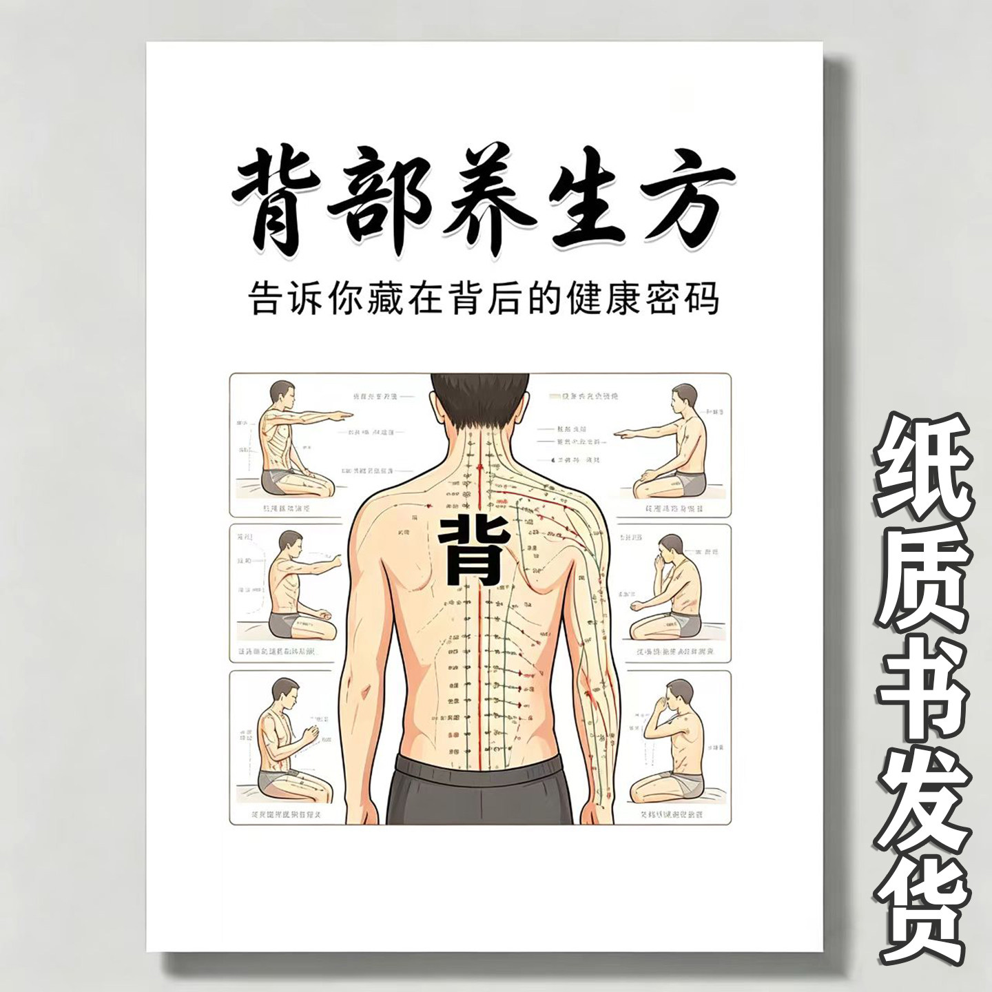 《背部养生方》背部保养背部刮后背调理痧急救背部特效穴位按摩方