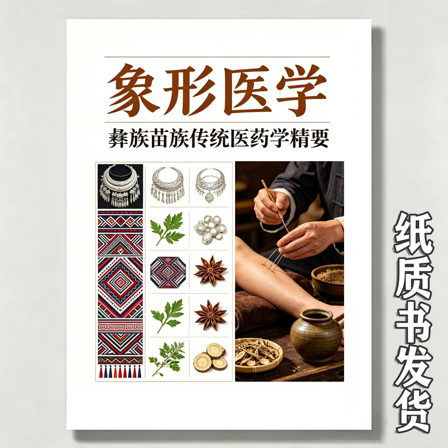 《象形医学》彝族苗族传统医药学精要基础与原理医药种类病理诊断