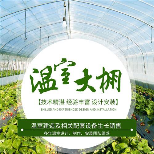 速发鸡大棚养a锌镀殖抗骨配管蔬菜钢管猪.钢大压架温室防雪椭圆