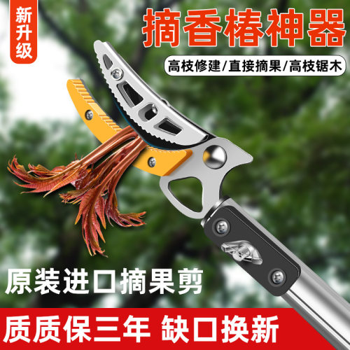摘香椿神器采摘枇杷水果高空剪刀