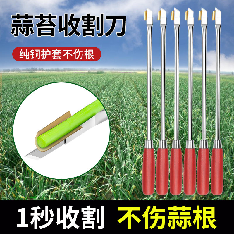 抽蒜苔神器蒜苔收割刀揪滴打提剥蒜薹工具蒜薹收割划蒜苗神器德国