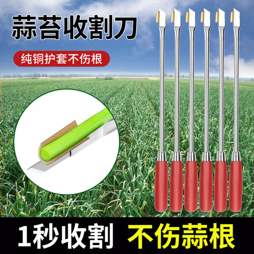 抽蒜苔神器蒜苔收割刀揪滴打提