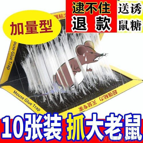 好货Strong stick mouse board mouse stick mouse trap mouse tr