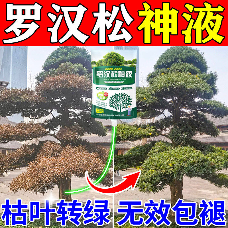 罗汉松专用营养液复合肥吊针液叶枯病叶子发黄迎客松叶面肥专用药,鲜花速递/花卉仿真/绿植园艺,家庭园艺肥料,淘宝优惠券,粉丝福利购,淘宝优惠卷