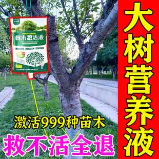 大树营养液吊针袋果树移栽树木激活液桂花强力生根剂药水枯树再生