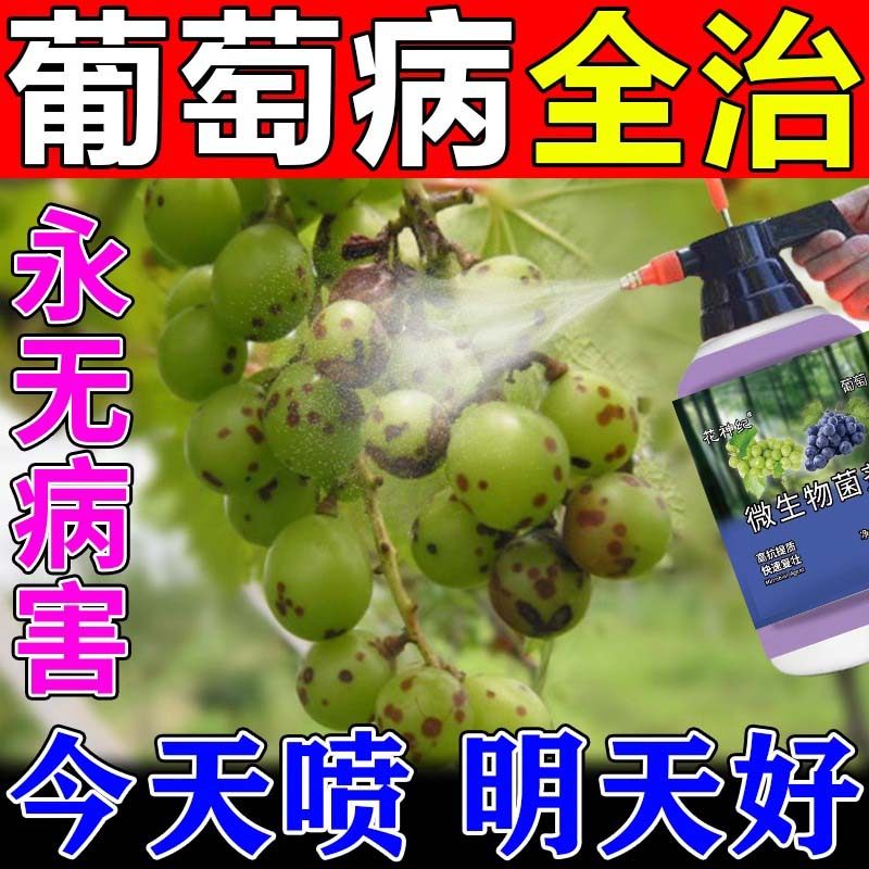 葡萄树专用药病全治杀菌剂白粉软腐灰霉病虫害防治保花保果药肥料,农用物资,叶面肥,淘宝优惠券,粉丝福利购,淘宝优惠卷