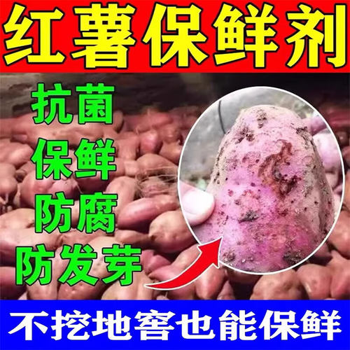 红薯保鲜剂防腐烂防霉提高发芽率延长储存红薯山药芋头大姜保鲜剂