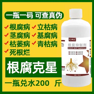 根腐抑制剂根腐克星病防治烂根死棵黄叶猝倒烂根专用药微生物菌剂