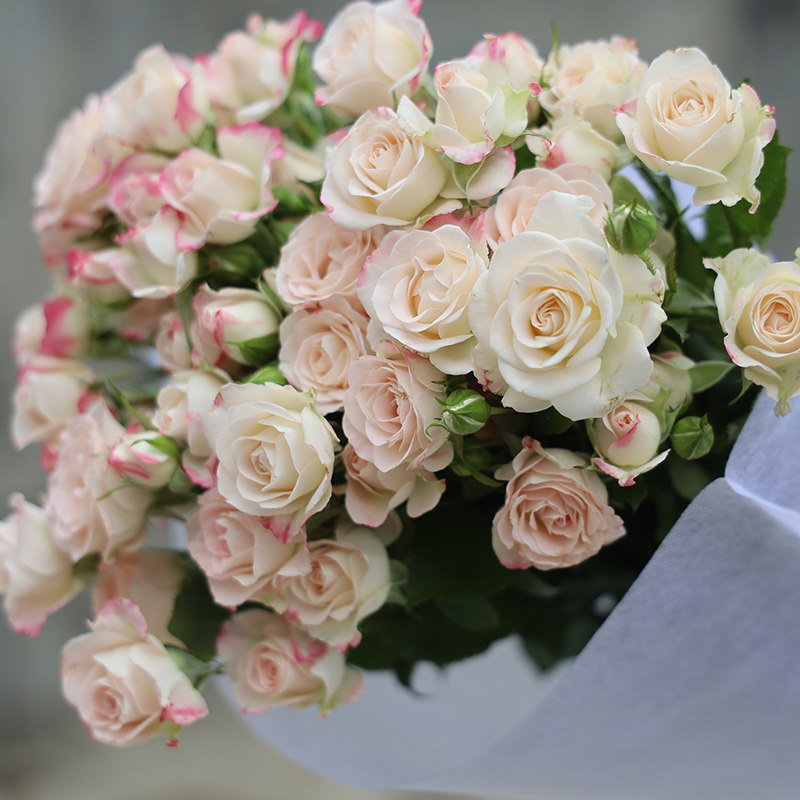 狂欢泡泡多头玫瑰 价格 怎么样 图片