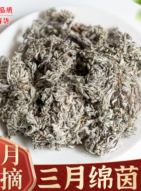 茵陈中药材500g克绵茵陈野生棉茵陈蒿红枣茶三月茵陈草药浴白蒿