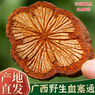 野生血塞通脑血通中药材500g血通片特级老树大血藤红血藤泡水泡酒
