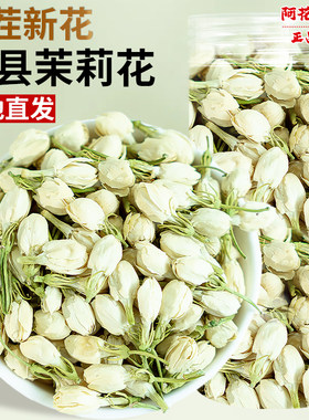 茉莉花干花新茶特级花蕾花苞茉莉花茶官方浓香型茶包横县茉莉花干