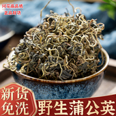 蒲公英茶500g正品 蒲公英叶中药材婆婆丁干货特级野生长白山泡水喝