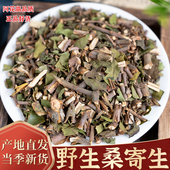 桑寄生中药材500g克广西野生桑寄生茶新货泡茶泡水另售杜仲