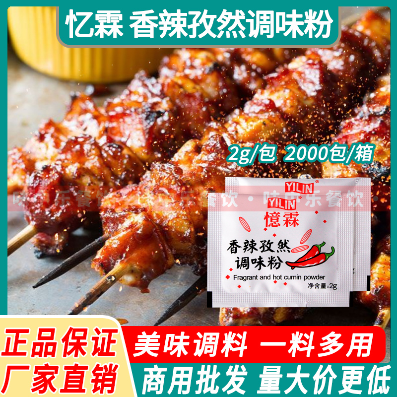 忆霖香辣孜然粉2g*500小包装商用