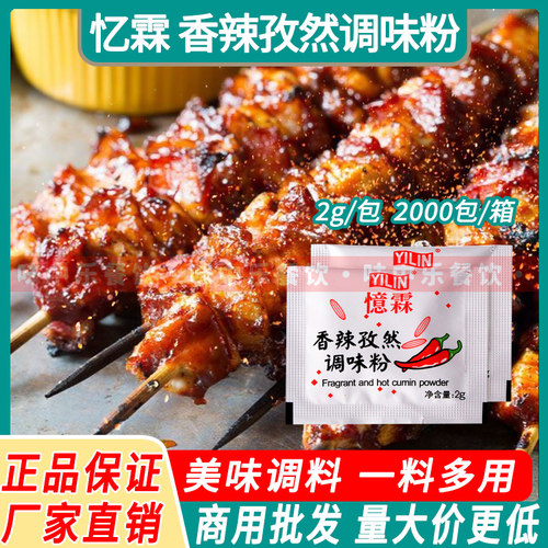 忆霖香辣孜然粉2g*500小包装商用