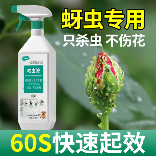 蚜虫杀虫剂花卉植物杀虫药月季花病虫害常用药白粉虱非红蜘蛛专用