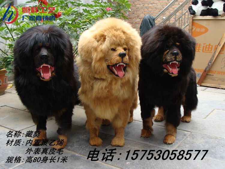 狗狗模型 仿真大型1:1狼狗藏獒萨摩京巴手工皮毛动物