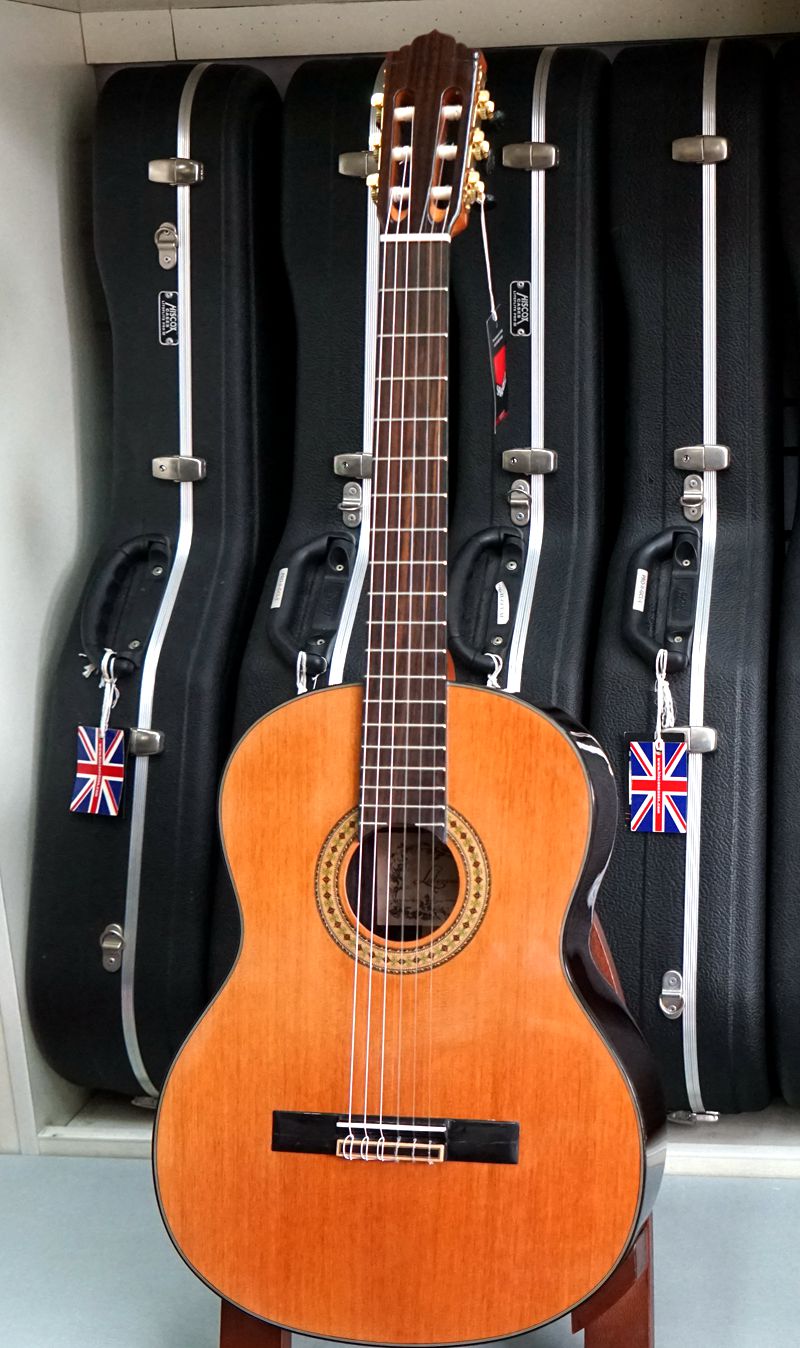 新现代乐器新la leona儿童成人初学演奏单板玫瑰木古典吉他套装现