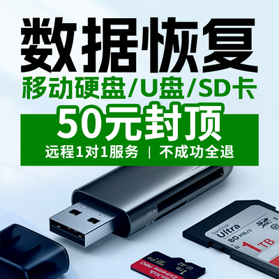 U盘SD卡移动硬盘数据恢复数据丢失误删格式化数据恢复无损恢复