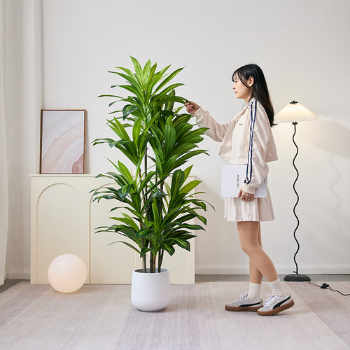 巴西木仿真绿植轻奢大型客厅盆栽