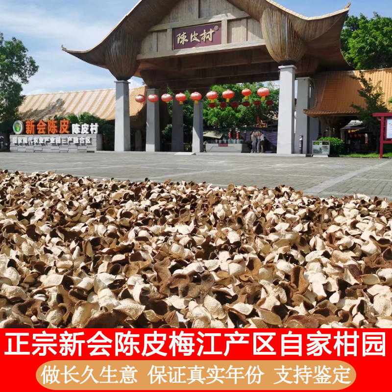 正宗广东特产新会大红新皮梅江茶枝柑2024年鲜果三年陈皮5年泡水