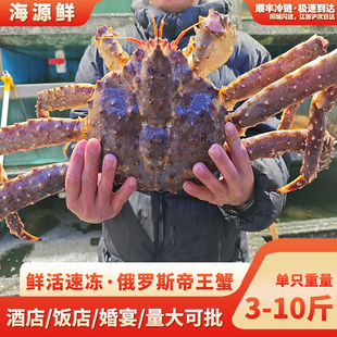 俄罗斯进口帝王蟹鲜活冷冻特大无损皇帝蟹帝皇蟹新鲜礼盒超大螃蟹