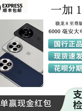 OnePlus/一加 13高通骁龙8旗舰影像新品智能电竞至尊版电池二.手